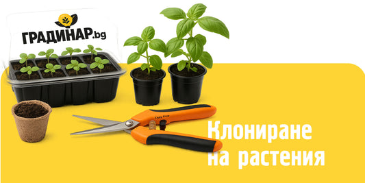 Клониране на растения - идеални генетични реплики