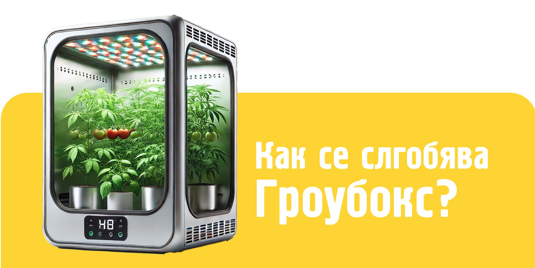 Всичко, което трябва да знаете за изграждането на гроубокс