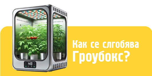 Всичко, което трябва да знаете за изграждането на гроубокс