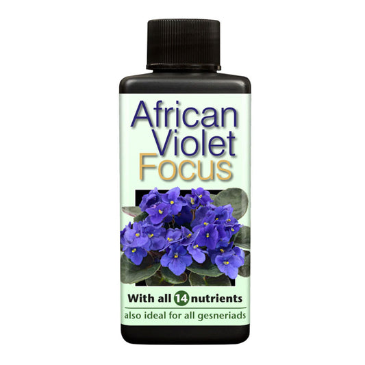 African Violet Focus 100ml