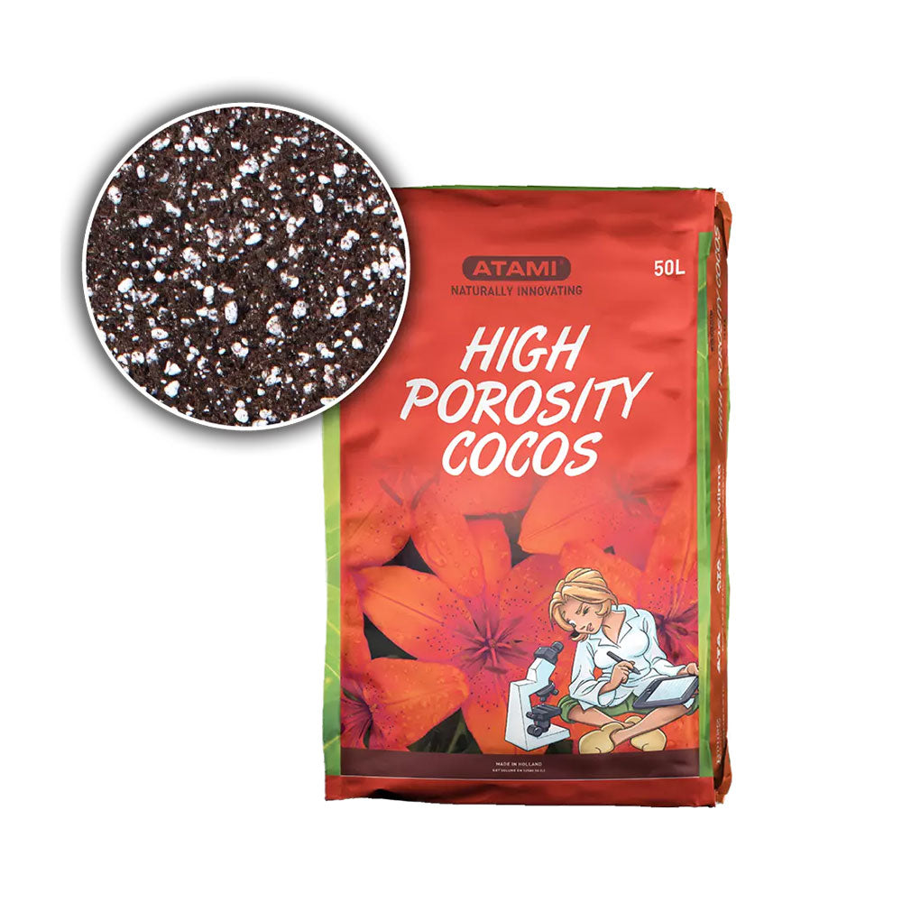 Cocos from atami on white background