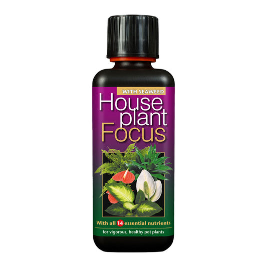 Houseplant Focus