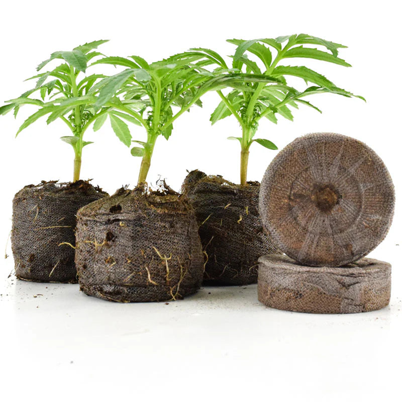Seedling kit with Jiffy 40 pcs.