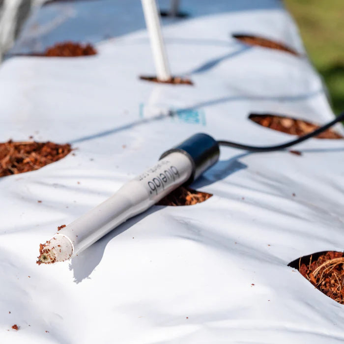 BlueLab Leap PH сонда