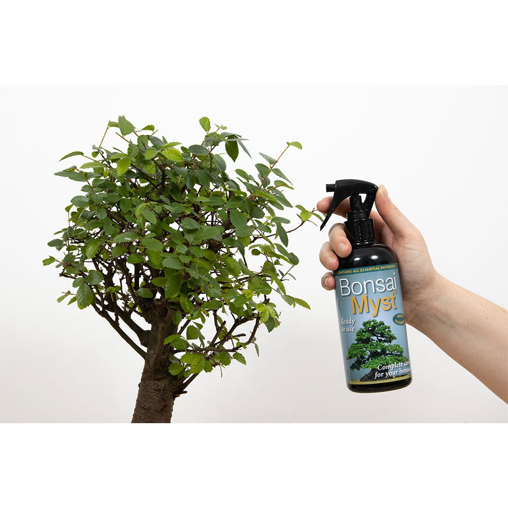 Bonsai Myst 300ml - Σπρέι για μπονσάι
