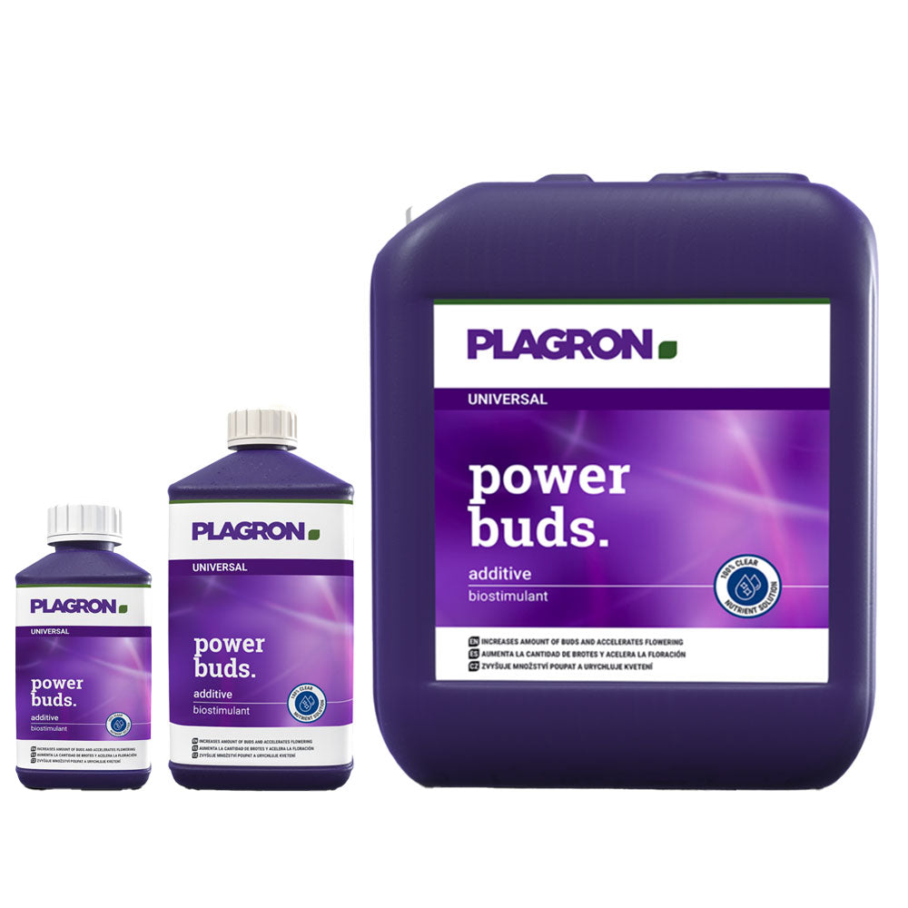Plagron power buds on white background