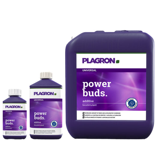 Plagron power buds on white background