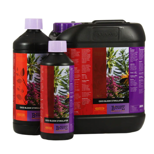 ATAMI B'Cuzz Coco Bloom Stimulator