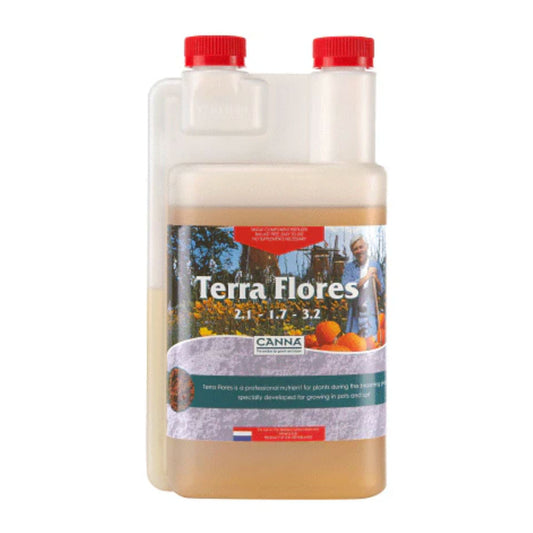 Canna Terra Flores