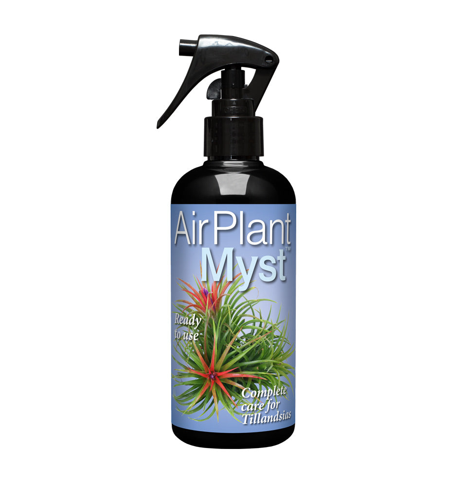 Airplant Myst 300ml Спрей за епифитни растения