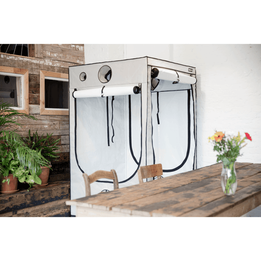 HOMEbox Ambient R300+