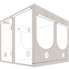 HOMEbox Ambient Q240
