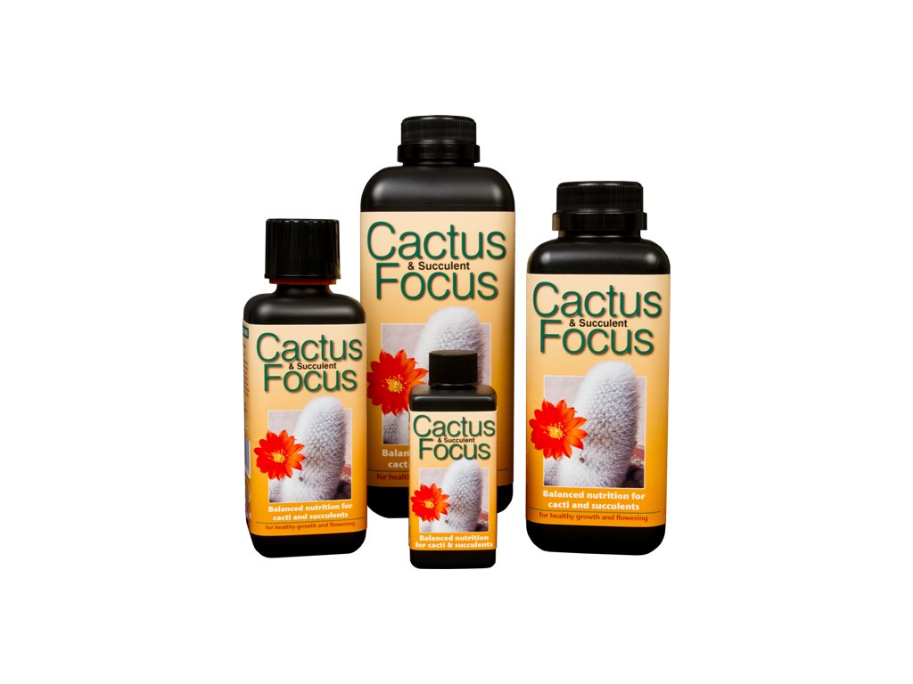 Тор за сукуленти Cactus Focus