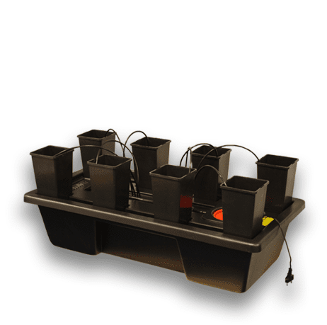 Wilma Mini 8 - 1.65 L