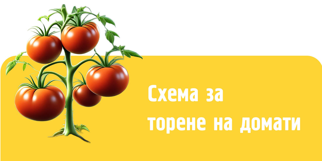 Схема за торене на домати