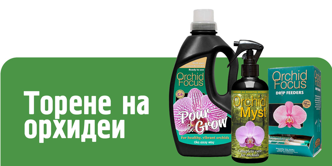 Торове за орхидеи - пълно ръководство за хранене по сезони