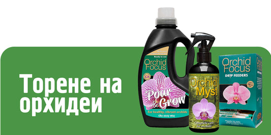 Торове за орхидеи - пълно ръководство за хранене по сезони