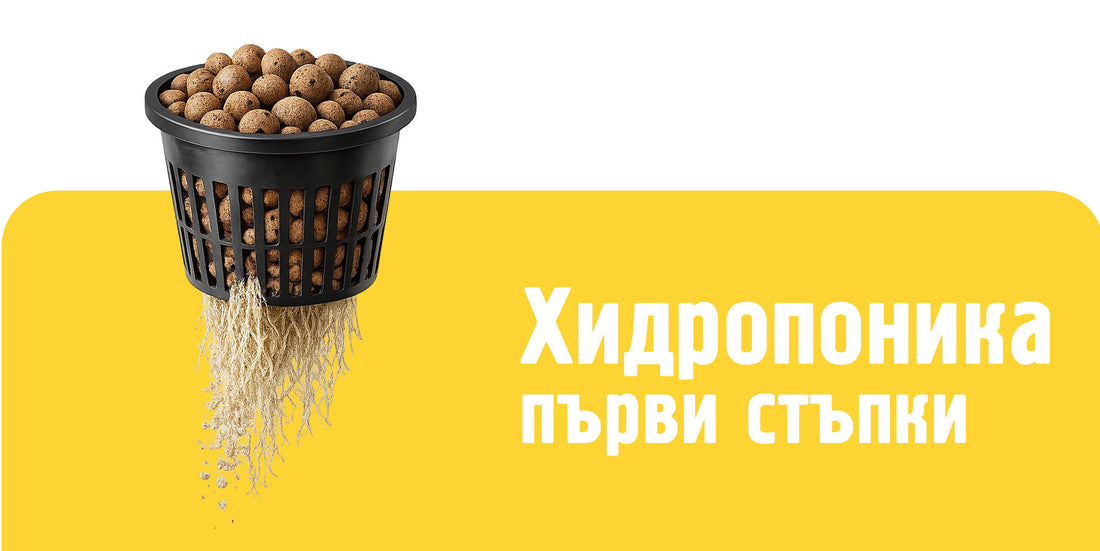 Хидропоника за начинаещи - видове системи и как да започнеш