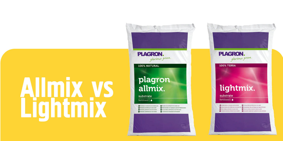 Plagron Lightmix или Allmix - кой субстрат да избереш