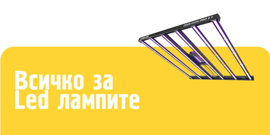 LED лампи за растения