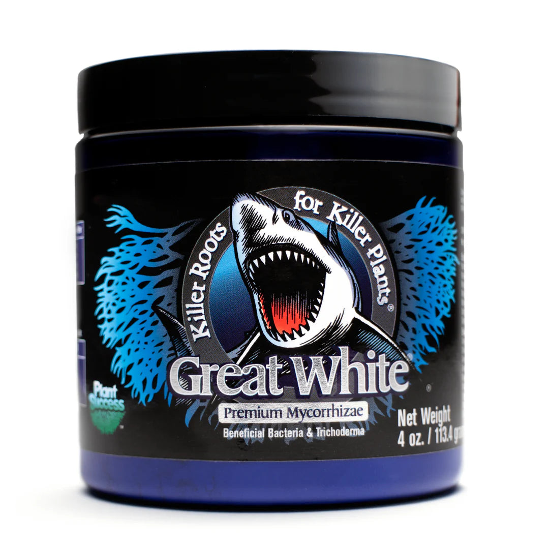 4 ounce box of Great White Mycorrhize on white backfround