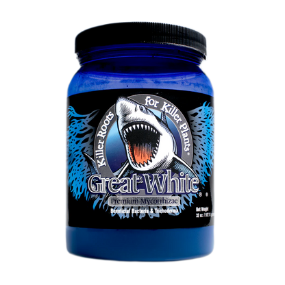 Mycorrhizae box from great white 32 ounce box