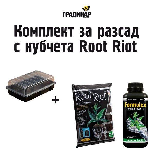 Комплект за разсад с кубчета Root Riot 24 бр. – Growshop Gradinar