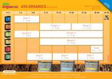 Заредете изображение във визуализатора на галерията – ATA Organics Alga-C 1 Л
