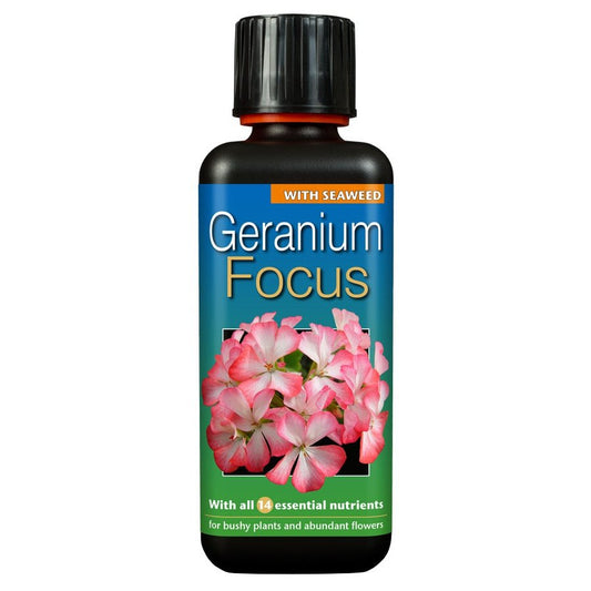 Geranium Focus