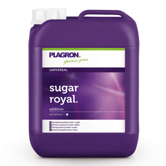 5l Sugar Royal bottle on white background