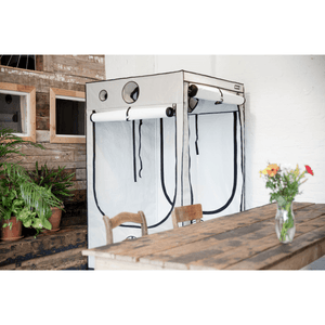HOMEbox Ambient Q240