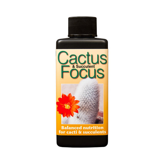 Cactus Focus