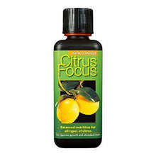 Заредете изображение във визуализатора на галерията – Citrus Focus
