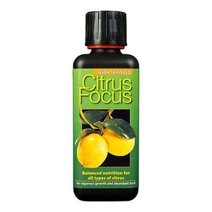 Citrus Focus