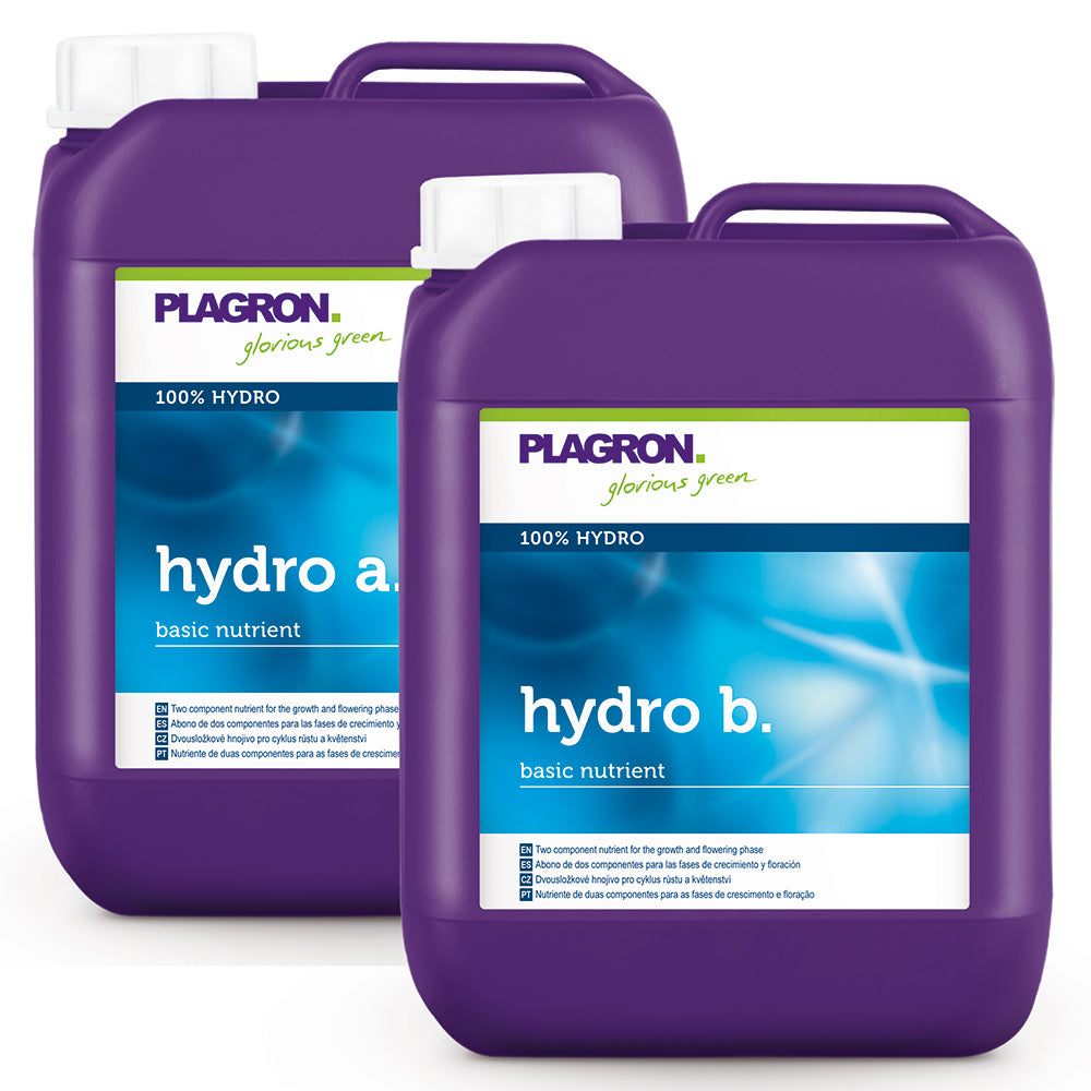 Plagron Hydro A+Б